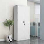 2 Door metallic office cabinet