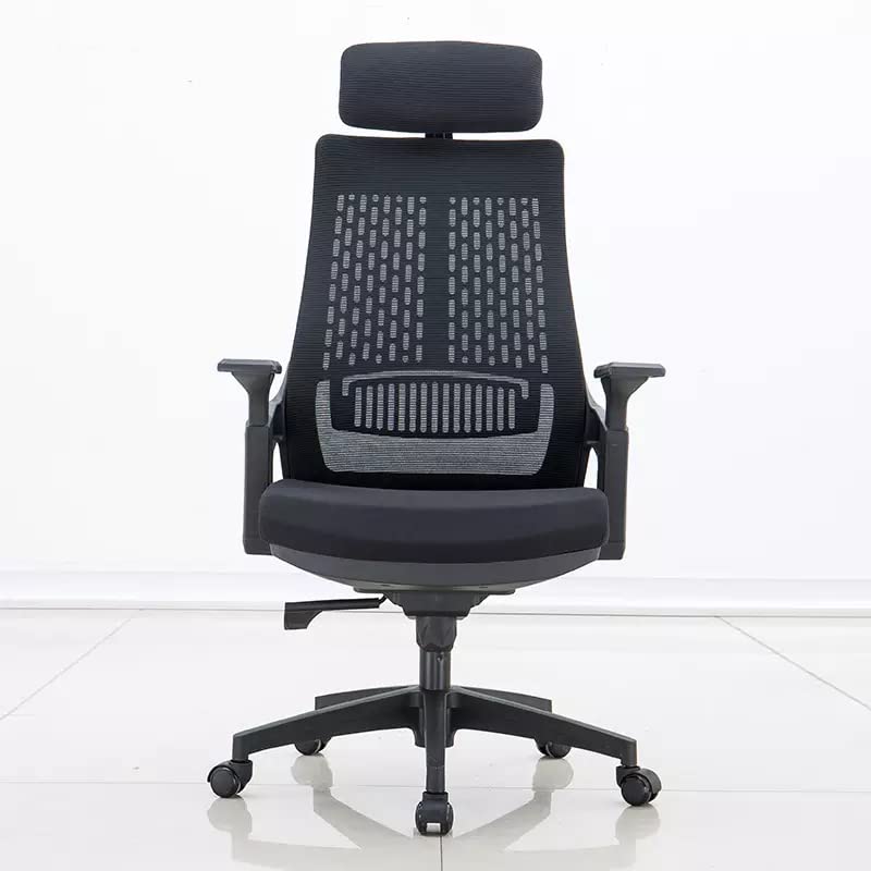 Version 1.0.0 Lama orthopedic office seat - Image 1