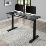 Generic electric standing desk