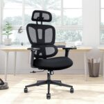 Executive orthopedic office seat