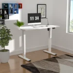 Standing Electric Adjustable Desk
