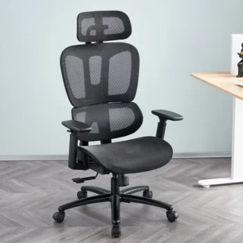 Lakosha High Back Mesh Ergonomic Task Chair