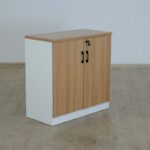 Two door executive credenza cupboard