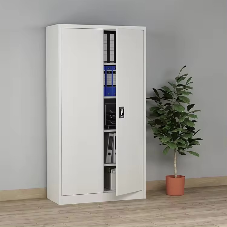 WhatsApp-Image-2024-03-13-at-9.08.02-AM-3.jpeg 2-Door Full Metallic Office Cabinet - Image 1