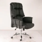 Director's executive office chair